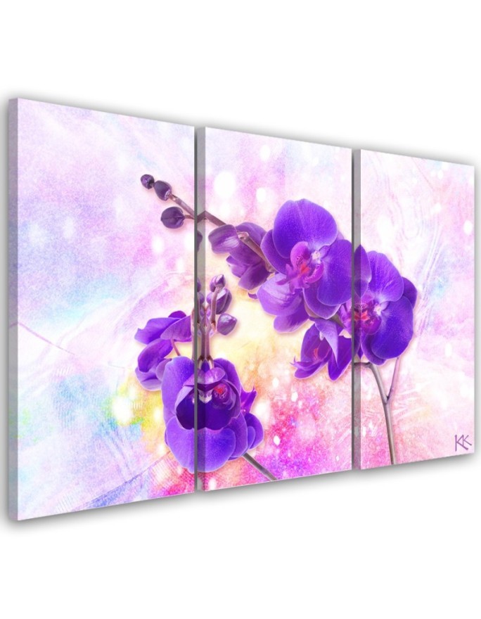 Obraz do salonu 3 częściowy - Fioletowy kwiat orchidei | FEEBY