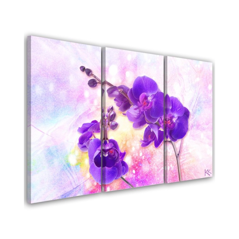 Obraz do salonu 3 częściowy - Fioletowy kwiat orchidei | FEEBY