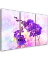 Obraz do salonu 3 częściowy - Fioletowy kwiat orchidei | FEEBY