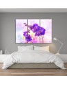 Obraz do salonu 3 częściowy - Fioletowy kwiat orchidei | FEEBY