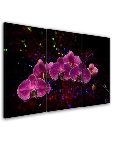 Canvas print - Orchid on dark background | FEEBY