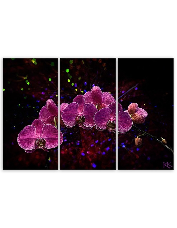Wydruk na płótnie - Orchidea na ciemnym tle | FEEBY