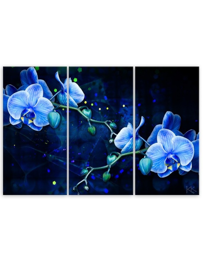 Nowoczesny obraz do salonu - Niebieski kwiat orchidei | FEEBY