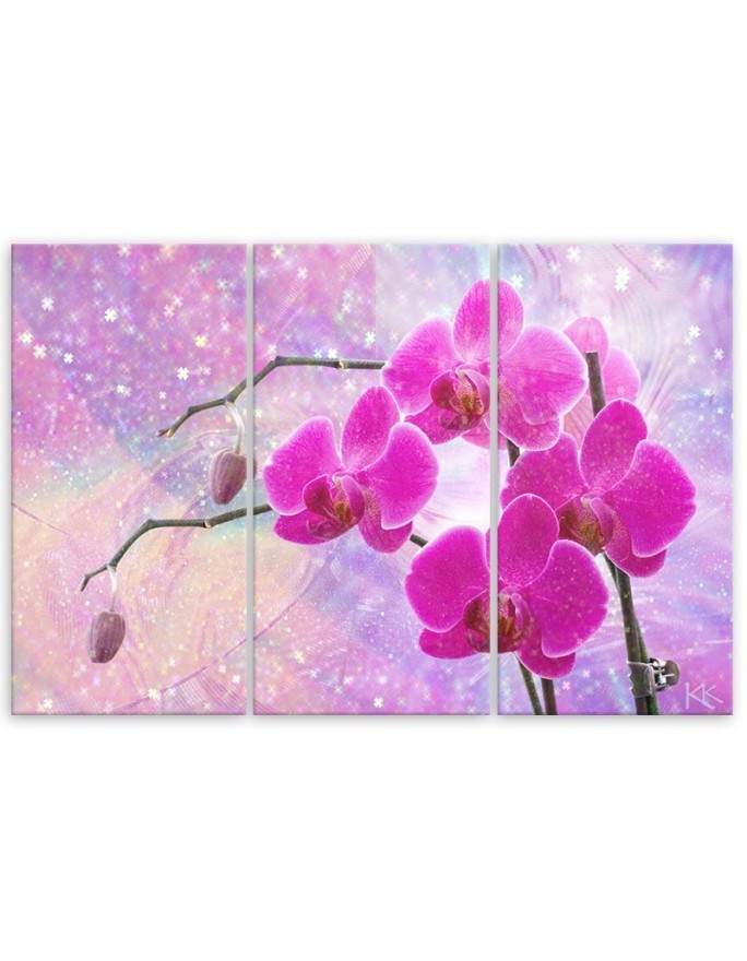 Obraz do salonu - Eteryczna orchidea abstrakcja | FEEBY