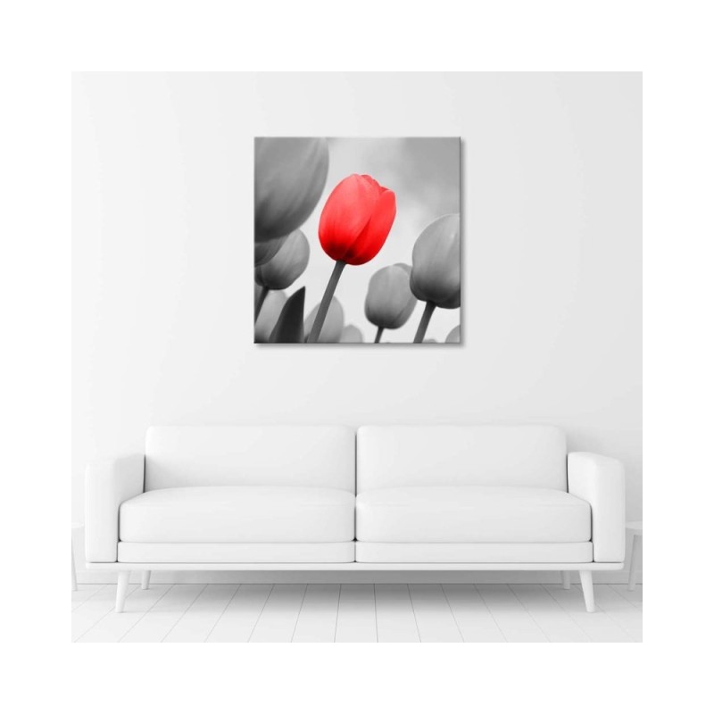 Leinwandbild - Rote Tulpe in Grau | Feeby