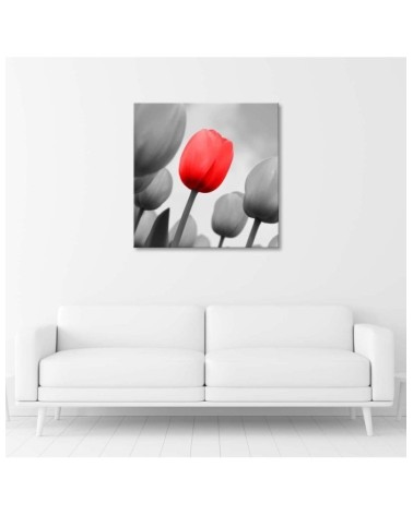 Leinwandbild - Rote Tulpe in Grau | Feeby