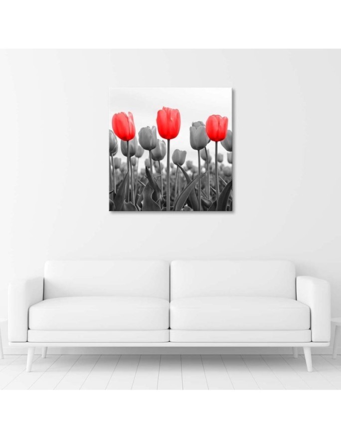Obraz na płótnie canvas - Czerwone tulipany na łące | FEEBY