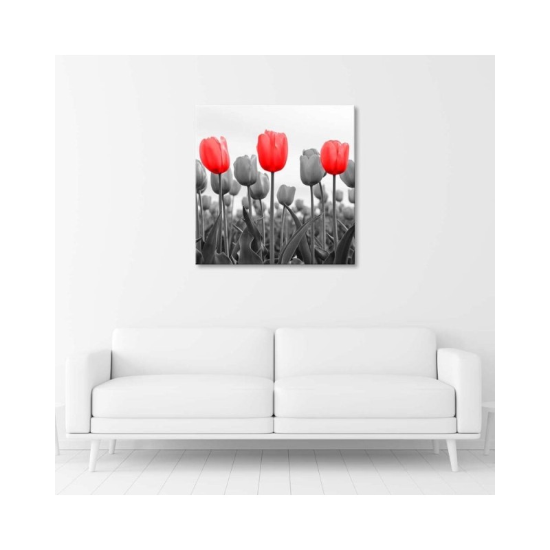 Bild auf Leinwand - Rote Tulpen auf einer Wiese | Feeby