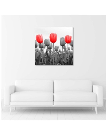 Bild auf Leinwand - Rote Tulpen auf einer Wiese | Feeby