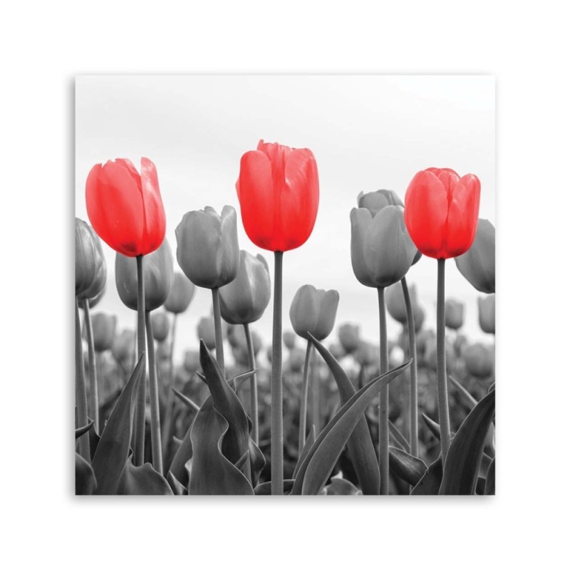 Bild auf Leinwand - Rote Tulpen auf einer Wiese | Feeby