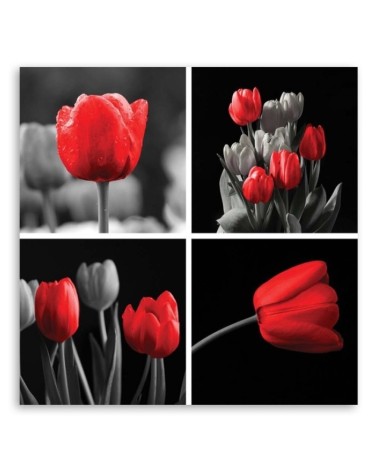 Wandbild für Wohnzimmer - Rote Tulpen Blumen | Feeby