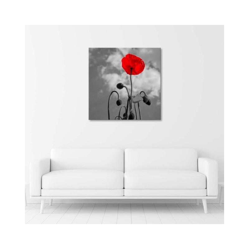 Modernes Wandbild - Mohnblumen Natur Pflanzen | Feeby