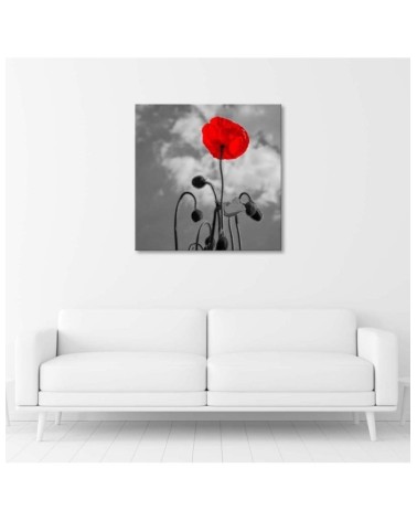 Modernes Wandbild - Mohnblumen Natur Pflanzen | Feeby