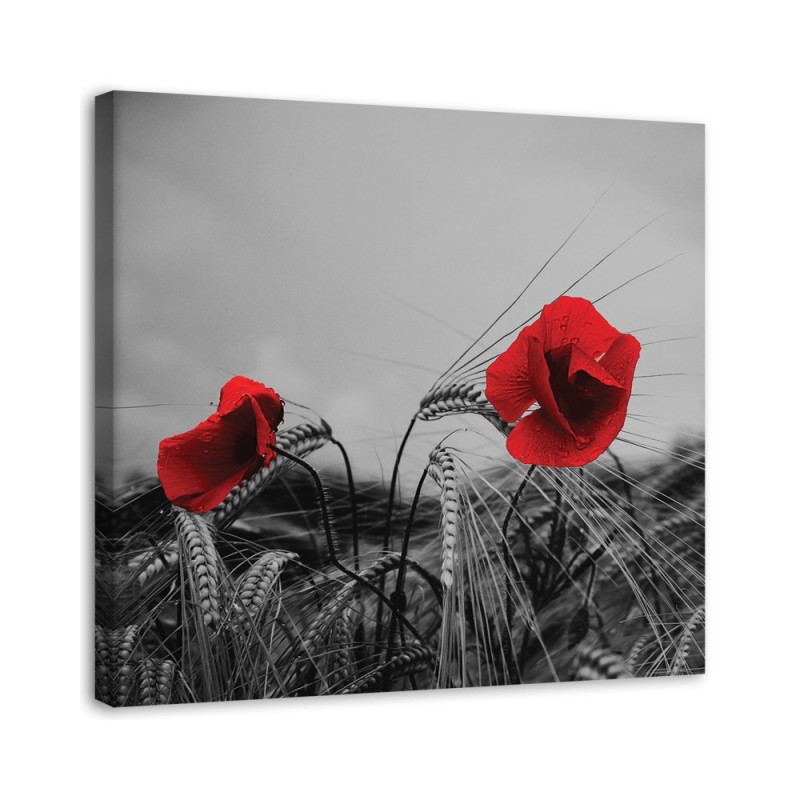 Dekoratives Leinwandbild - Rote Mohnblumen | Feeby