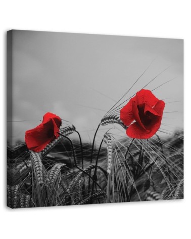 Canvas print modern - Red poppies and grain | FEEBY