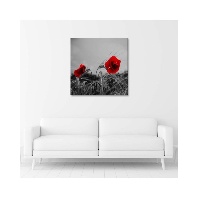 Dekoratives Leinwandbild - Rote Mohnblumen | Feeby