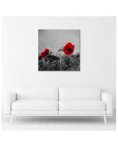 Dekoratives Leinwandbild - Rote Mohnblumen | Feeby