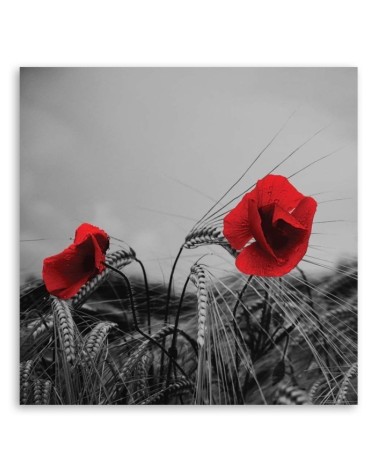 Dekoratives Leinwandbild - Rote Mohnblumen | Feeby