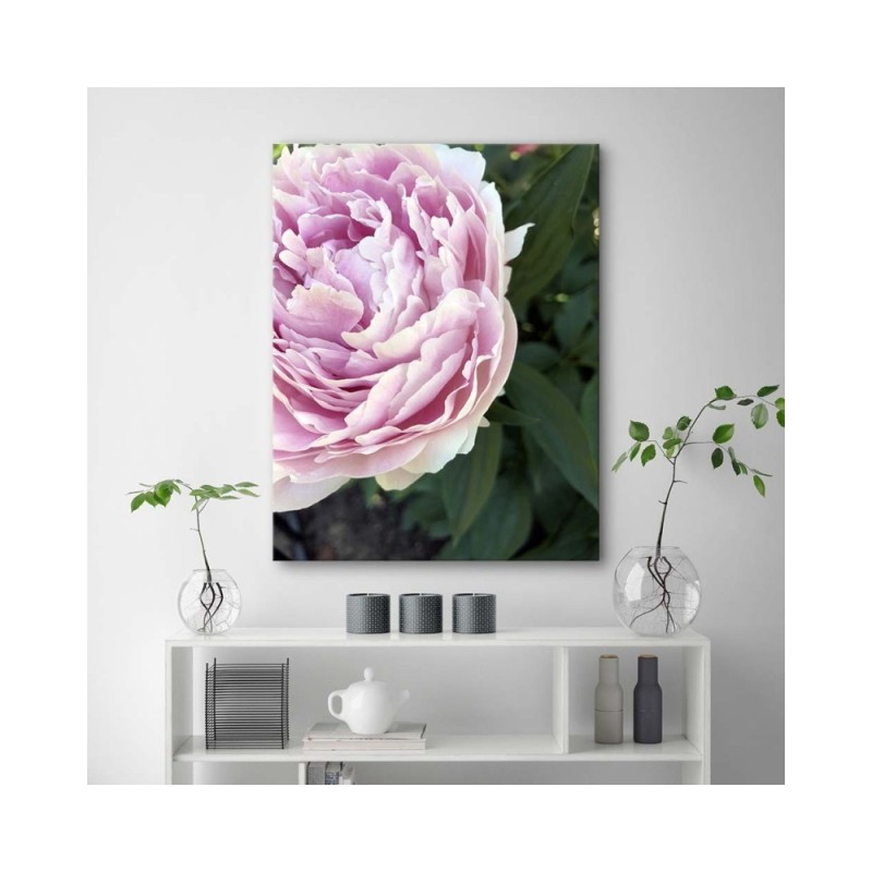 Bild auf Leinwand - Rosa Pfingstrose Blumen | Feeby