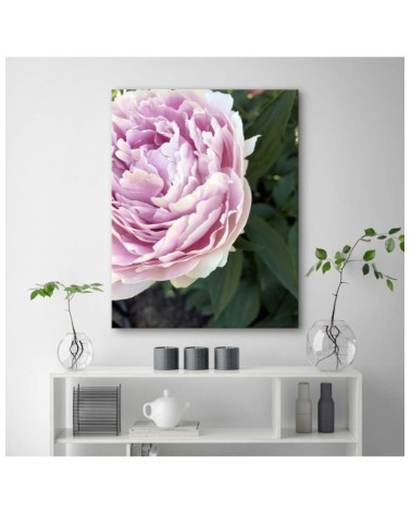 Bild auf Leinwand - Rosa Pfingstrose Blumen | Feeby