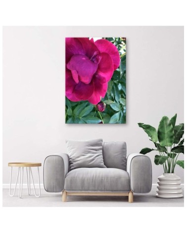 Leinwandbild modern - Pfingstrose Blumem | Feeby