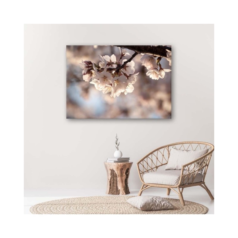Dekoratives Leinwandbild - Kirschblüte | Feeby