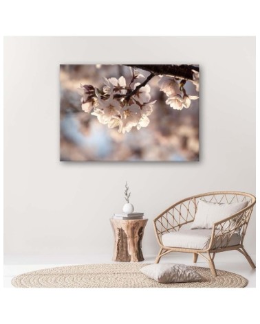 Dekoratives Leinwandbild - Kirschblüte | Feeby
