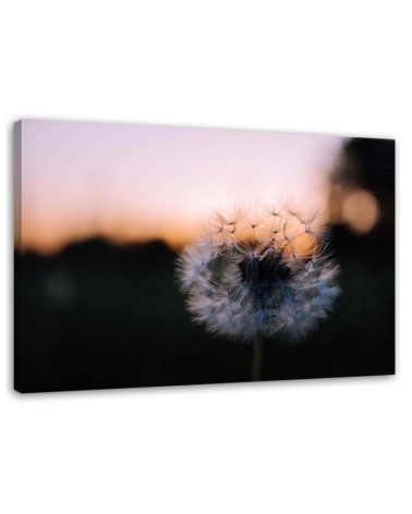 Modernes Wandbild - Pusteblume und Sonnenuntergang | Feeby