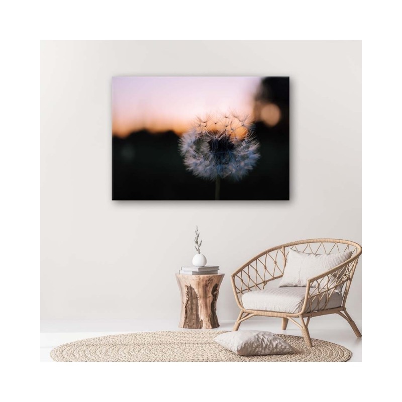 Modernes Wandbild - Pusteblume und Sonnenuntergang | Feeby