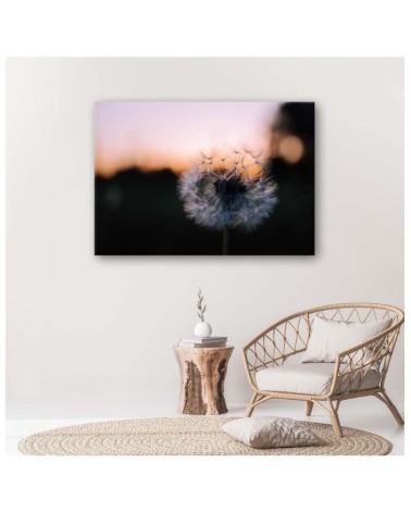 Modernes Wandbild - Pusteblume und Sonnenuntergang | Feeby