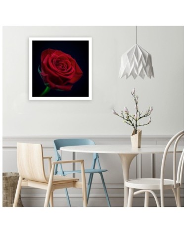 Wandbild für Wohnzimmer - Rote Rose in der Dunkelheit | Feeby