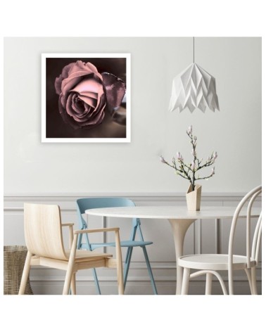 Leinwandbild - Schöne Rose Blumen | Feeby