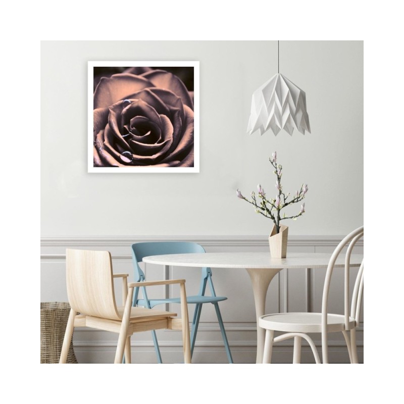 Modernes Wandbild - Wassertropfen auf einer Rose | Feeby