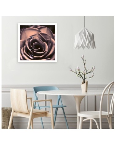 Modernes Wandbild - Wassertropfen auf einer Rose | Feeby