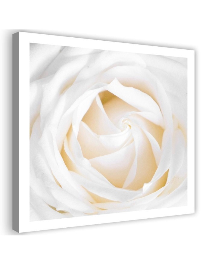 Delicate cream rose - Canvas painting for living room | FEEBY