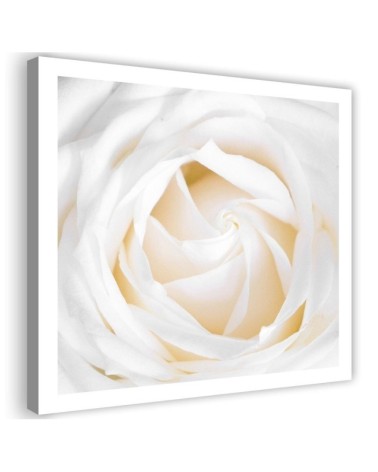Delicate cream rose - Canvas painting for living room | FEEBY
