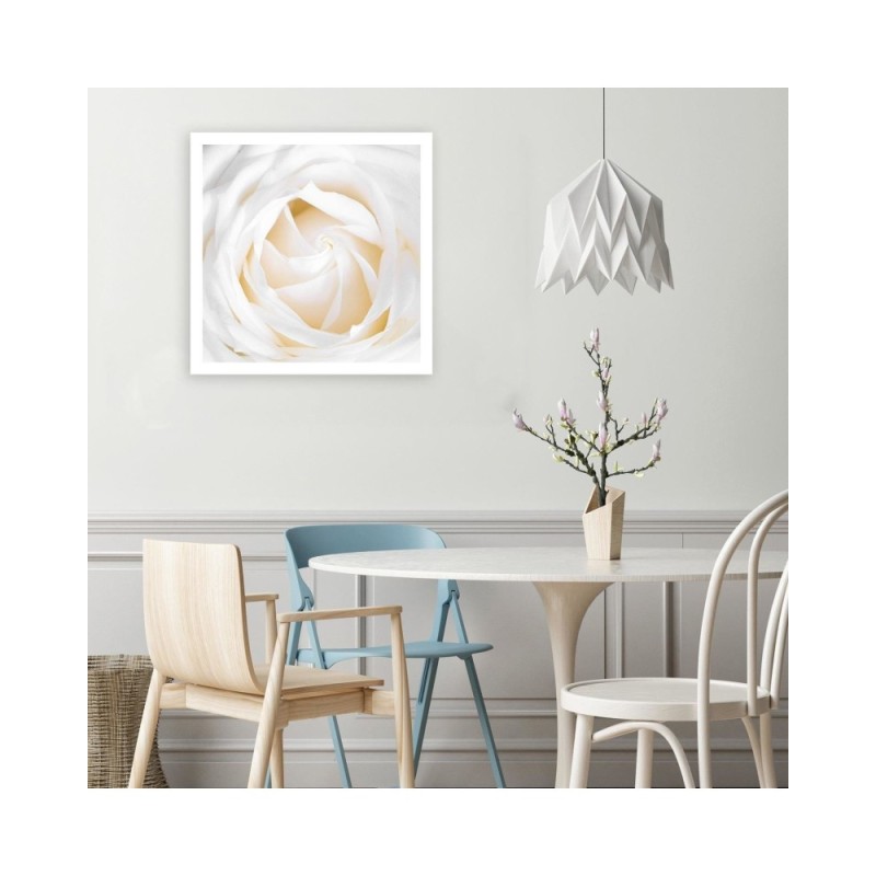 Leinwandbild - Zarte Rose | Feeby