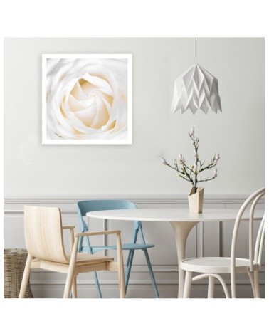 Leinwandbild - Zarte Rose | Feeby