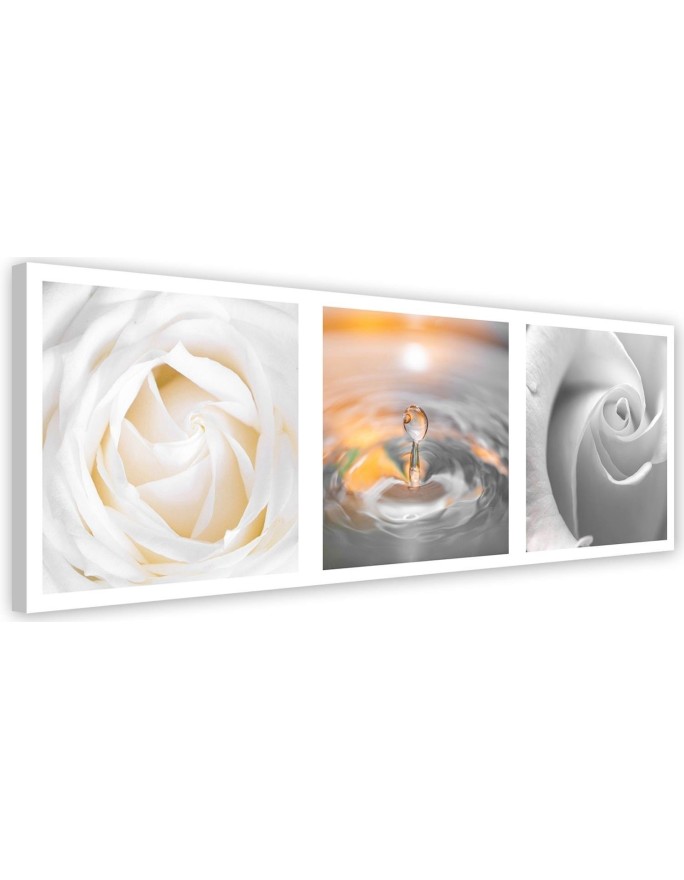 Leinwandbild - Rose Blumen mit Tropfen | Feeby