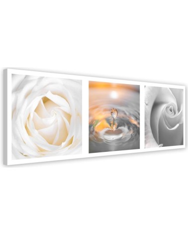 Leinwandbild - Rose Blumen mit Tropfen | Feeby