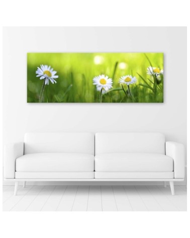 Leinwandbild - Gänseblümchen im Gras | Feeby
