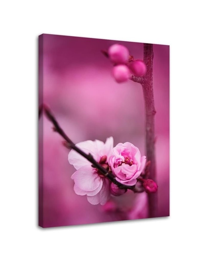 Modernes Wandbild - Rosa Blüte Pflanzen | Feeby