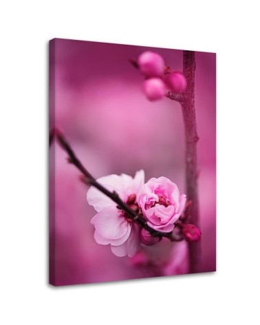 Modernes Wandbild - Rosa Blüte Pflanzen | Feeby