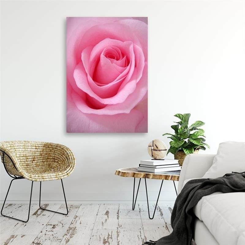 Dekoratives Leinwandbild - Rosa Blumen Pflanzen | Feeby