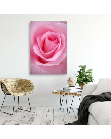 Dekoratives Leinwandbild - Rosa Blumen Pflanzen | Feeby