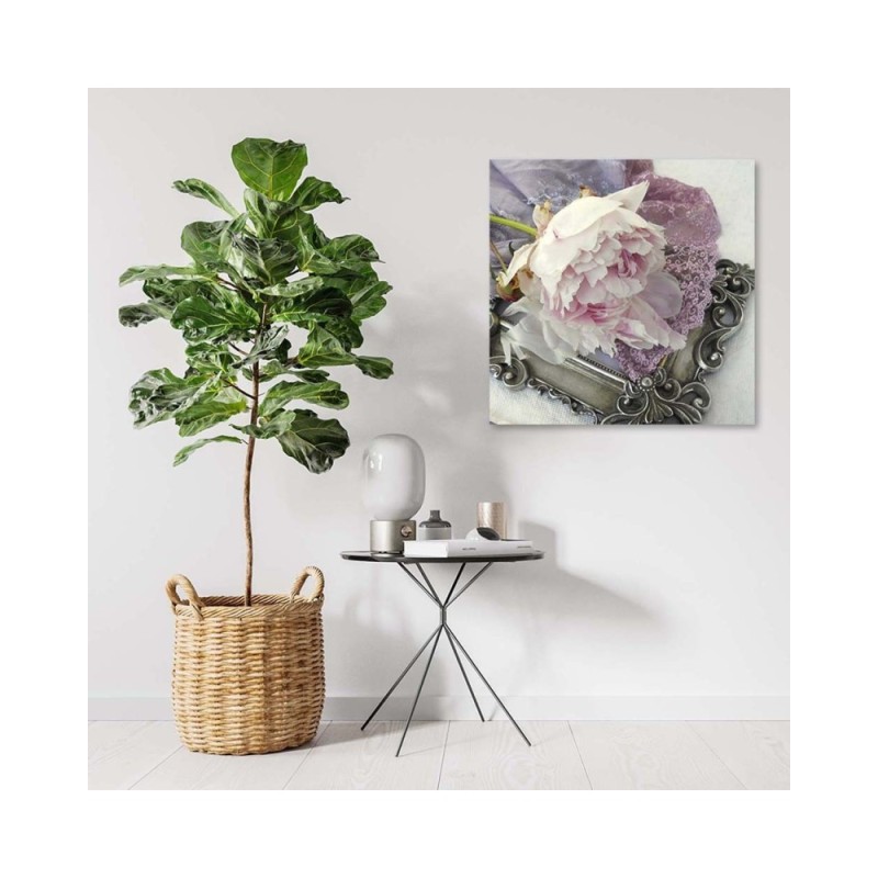 Modernes Wandbild - Rose Blumen auf einem Spiegel | Feeby