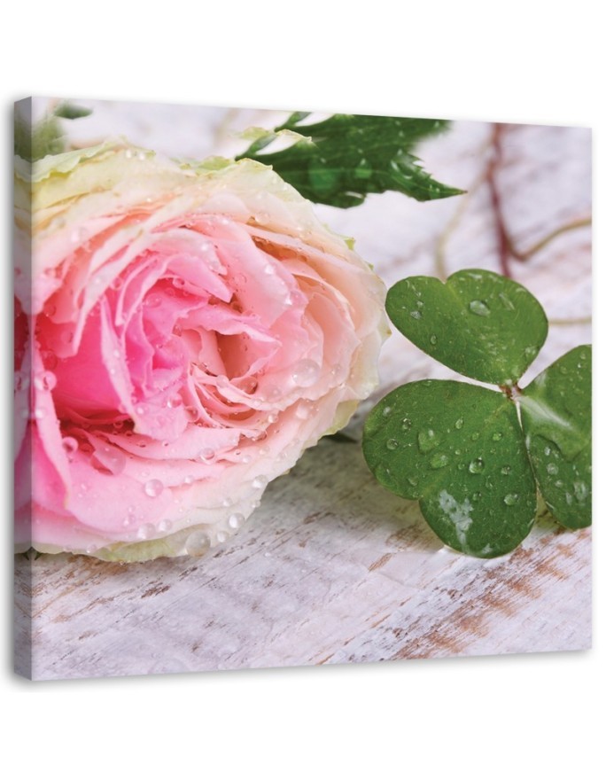 Bild auf Leinwand - Rose Blumen Natur | Feeby