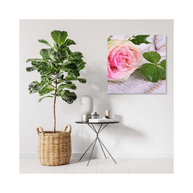 Bild auf Leinwand - Rose Blumen Natur | Feeby
