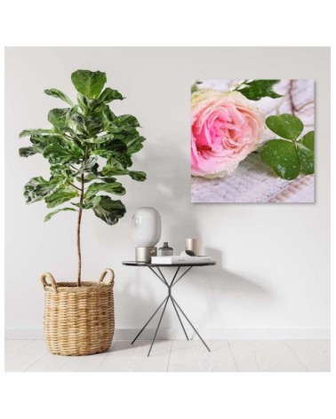 Bild auf Leinwand - Rose Blumen Natur | Feeby