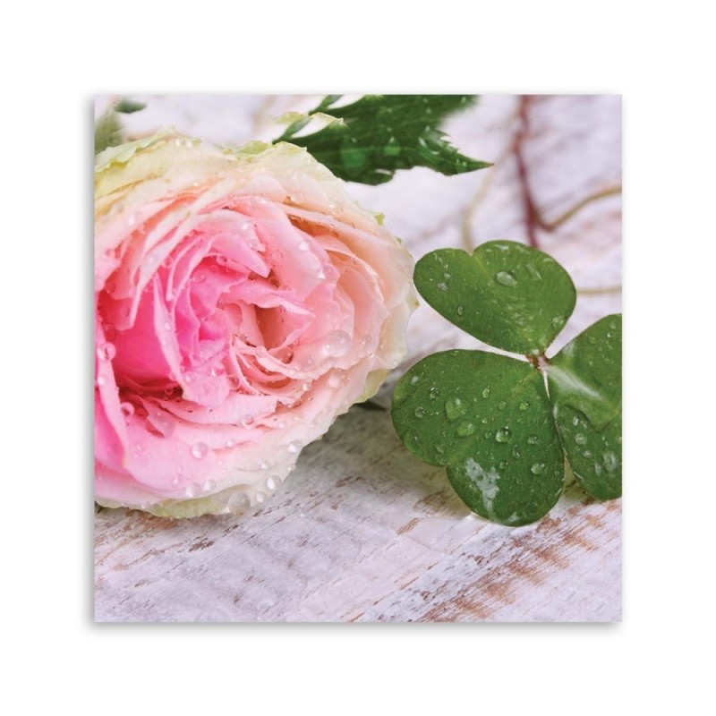 Bild auf Leinwand - Rose Blumen Natur | Feeby